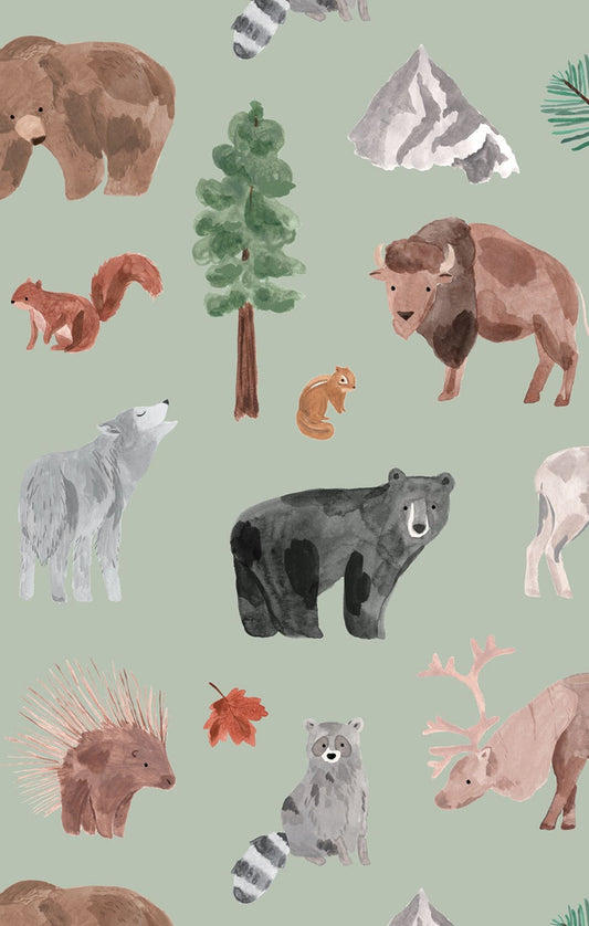 L/S Pajama Set- American Woodland Animals