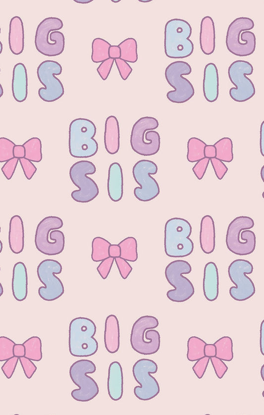 L/S Pajama Set- Big Sis