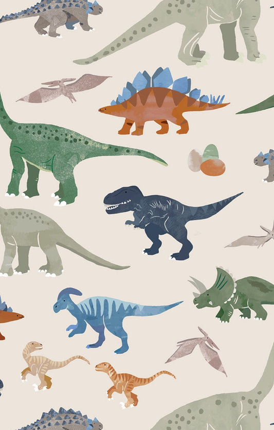 L/S Pajama Set- Washy Dinos