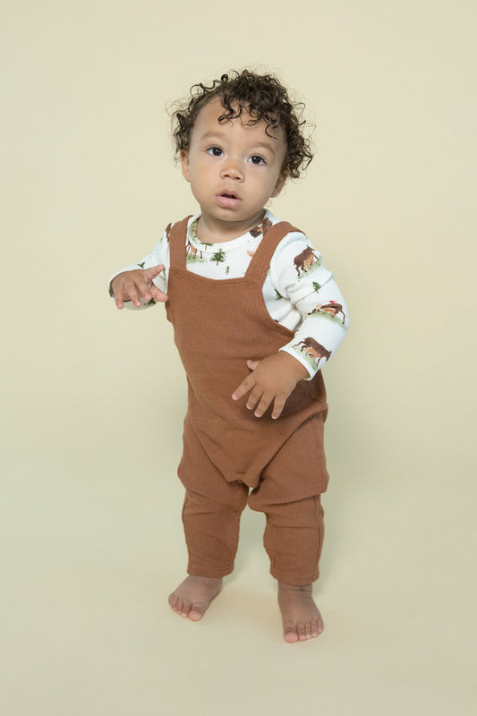 Brown Thermal Overalls