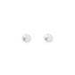 Payton Pearl White 5mm Screwback Stud Earrings