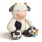 Strawberry Sweetie Snuggles™ Plush