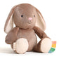 Strawberry Sweetie Snuggles™ Plush