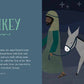 From Eden to Bethlehem: Board Book / English