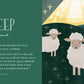 From Eden to Bethlehem: Board Book / English