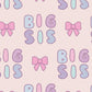 L/S Pajama Set- Big Sis